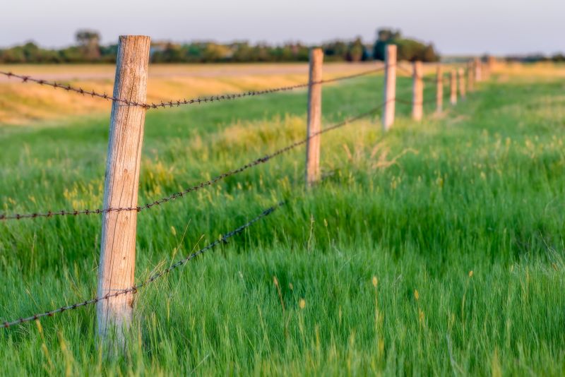 How A Fence Adds Privacy, Security, And Curb Appeal